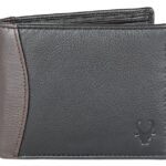 WildHorn Men's Leather Wallet - Black